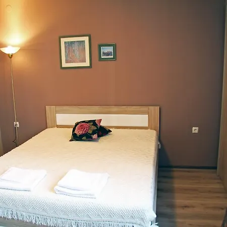 Dame Gruev * Skopje